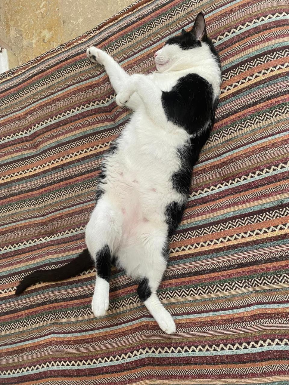 Coco